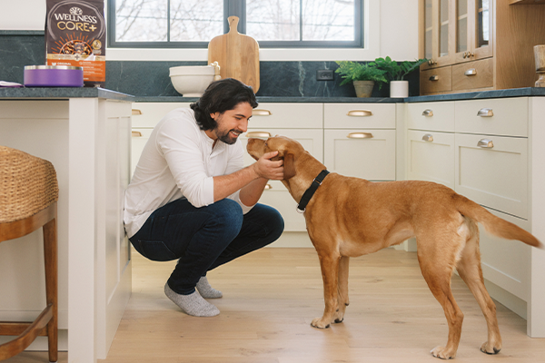 What Is The Best Kibble For Dogs?