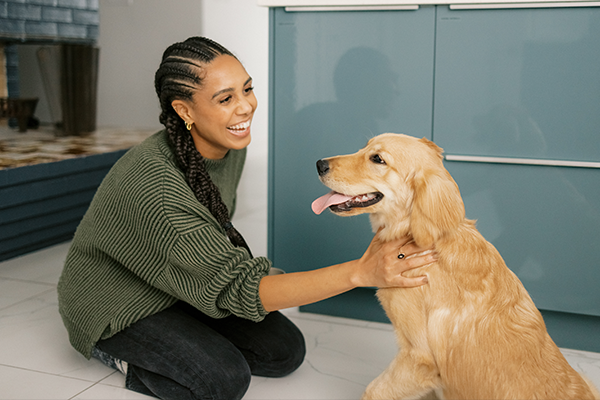 What Is The Best Kibble For Dogs?