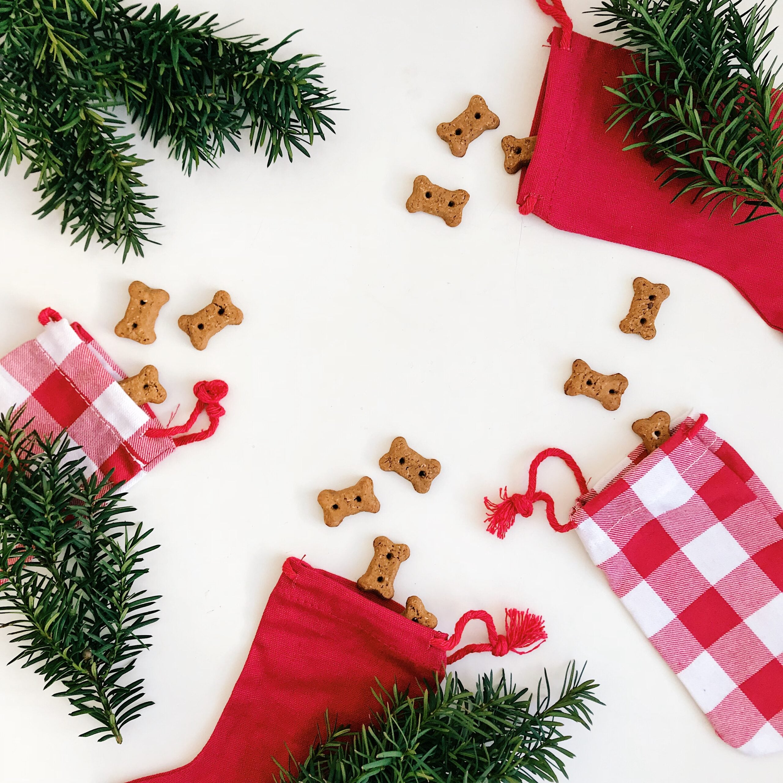 Holiday Stocking Stuffer Ideas For Cats & Dogs Wellness Pet Food