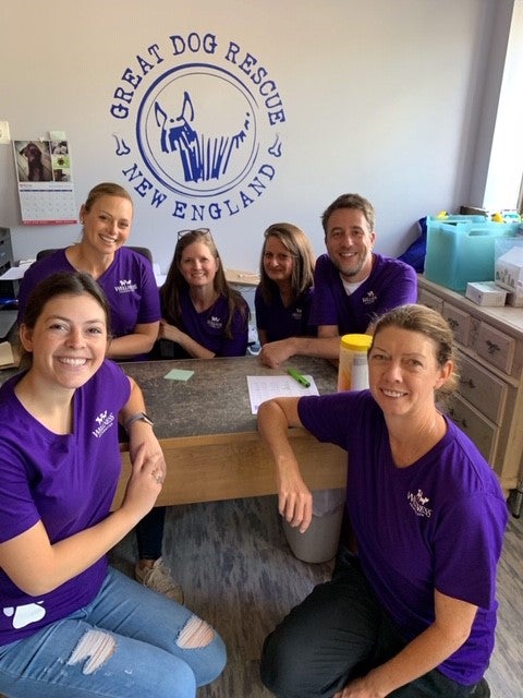 grs, Wellness Global Service Day
