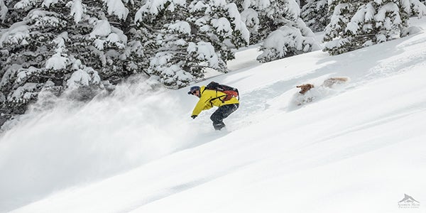 andrew & kicker, How to Ski and Snowboard With Your Adventure Dog
