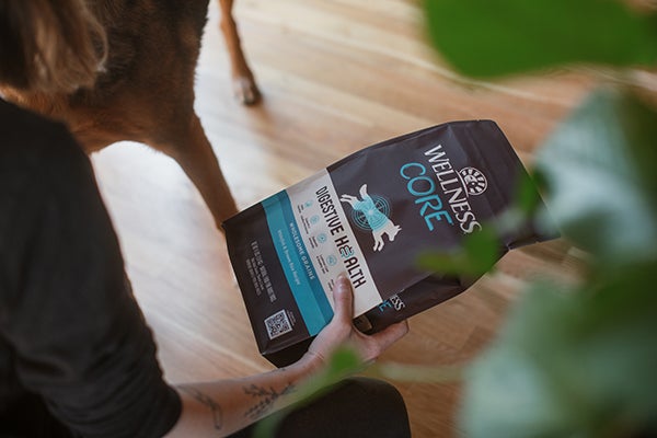 Wellness CORE Digestive Health food for dogs, What To Give Your Dog For Upset Stomach And Vomiting