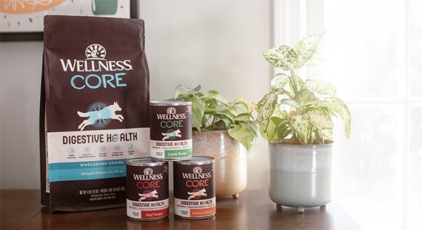 Wellness CORE Digestive Health food for dogs