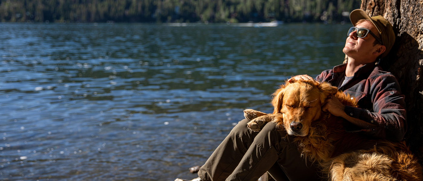 visit new places with your dog, 21 Ways to Tell Your Pet You Love Them in 2021