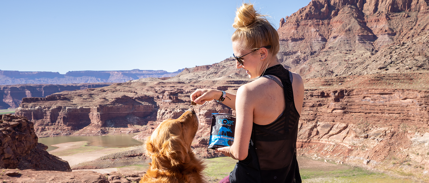 give your dog a healthy treat, 21 Ways to Tell Your Pet You Love Them in 2021