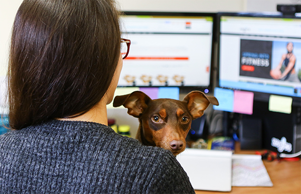 person at desk with dog