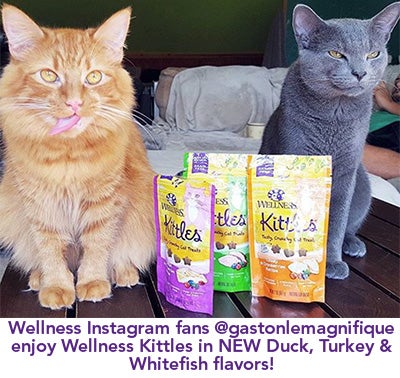 To keep your whiskered-friends happy and healthy on this special day and every day in between, we recommend treating them with a tasty, nutritious snack like Wellness Kittles.