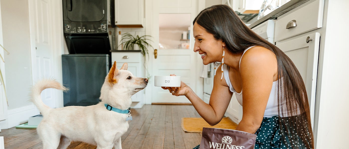 5 Tips To Achieve The Best Diet For Your Dog Wellness Pet Food