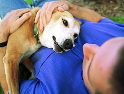 Adopted Dog With Pet Parent