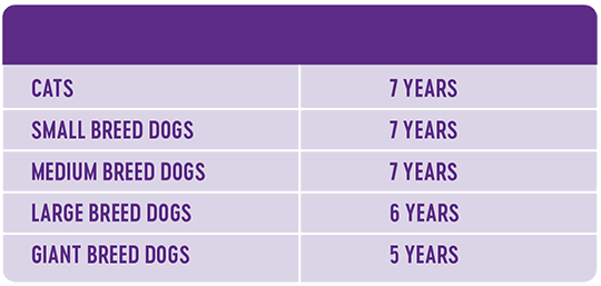 senior pet ages