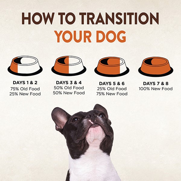 How to transition your dog to a new food - The Best Puppy Food For A Sensitive Stomach
