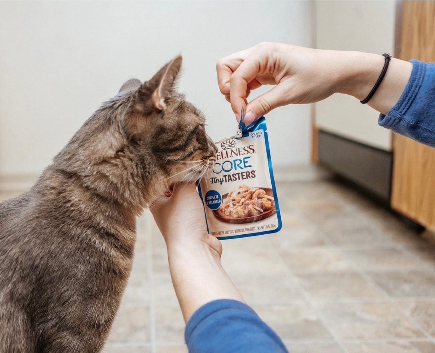 Wellness®️ dry cat food is crafted with high-quality ingredients scientifically proven to support the 5 Signs of Wellbeing.