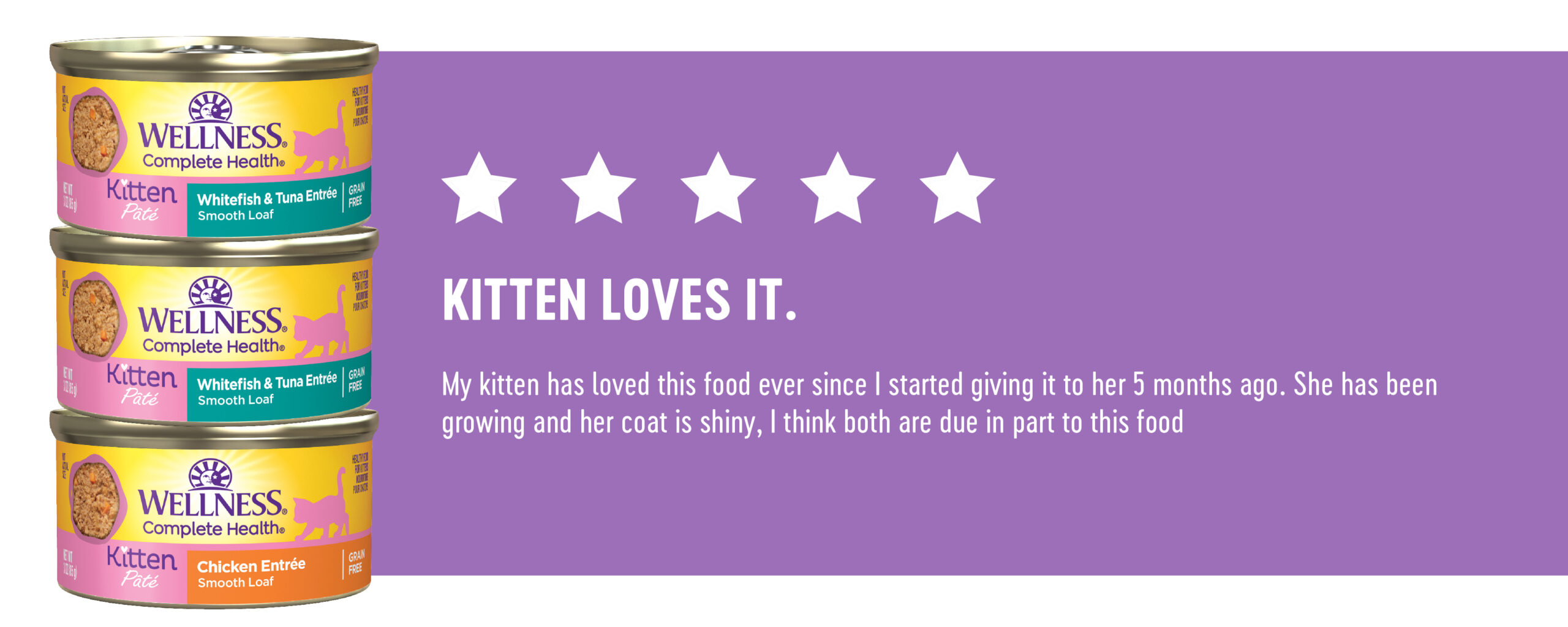 5 Stars - Kitten Loves It.