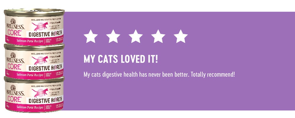 5 Stars - My Cats Loved It!