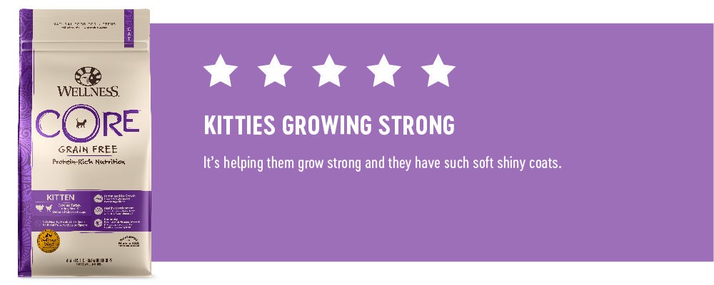 5 Stars - Kitties Growing Strong