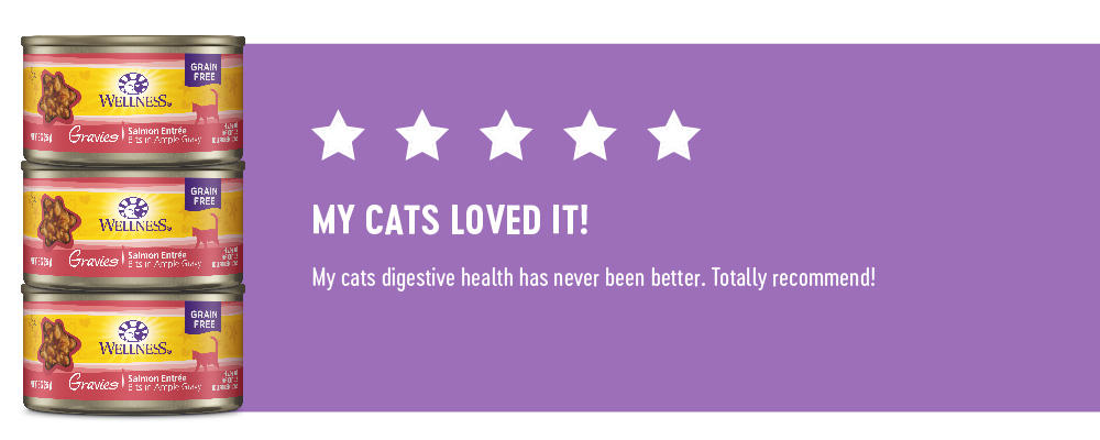 5 Stars - My Cats Loved It!