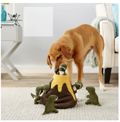 Dog with dinosaur squeaker toy.