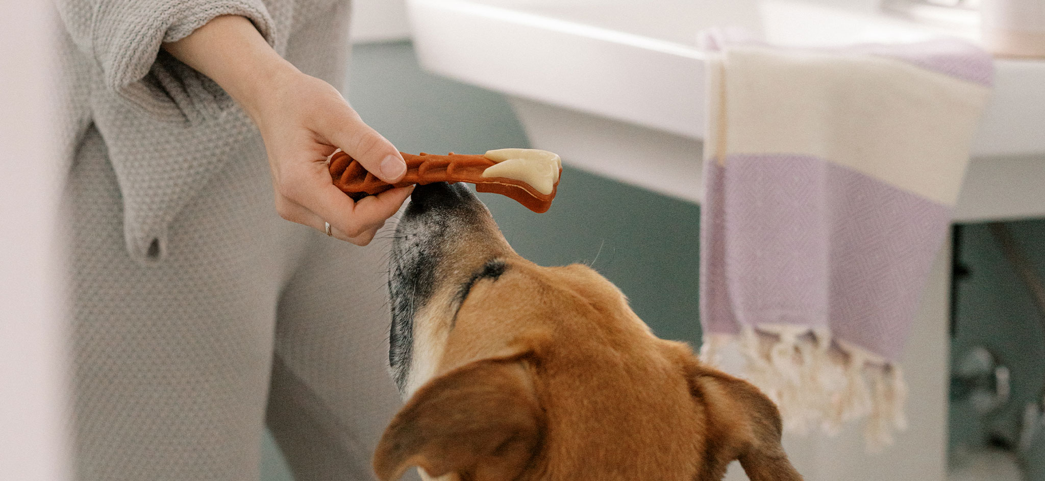 Give your dog one WHIMZEES dog dental treat per day and you’re giving them a fun, all natural way to help clean teeth, freshen breath, and reduce plaque and tartar – all while they chew!