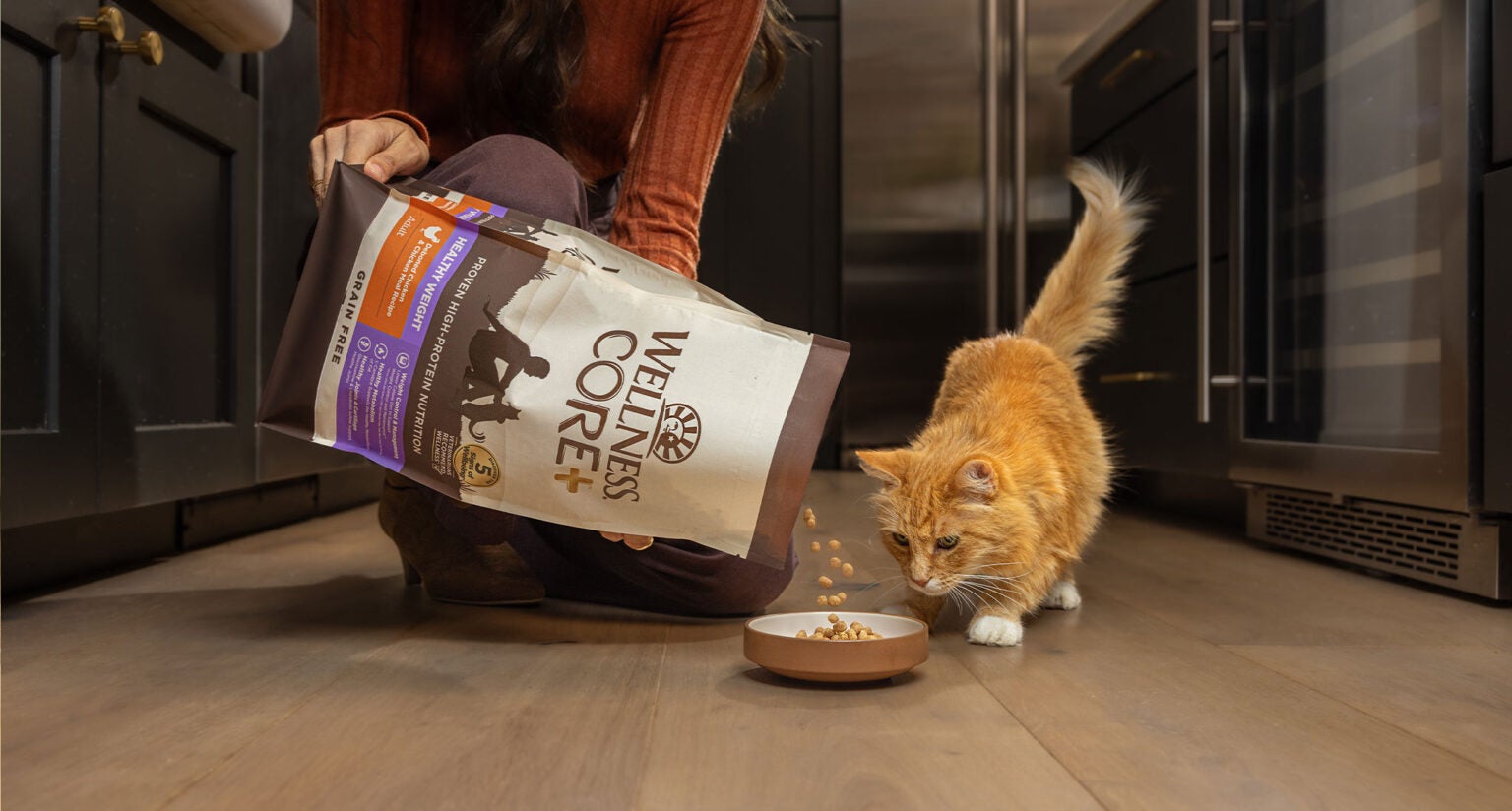 Wellness Dry Cat Food A Comprehensive Guide
