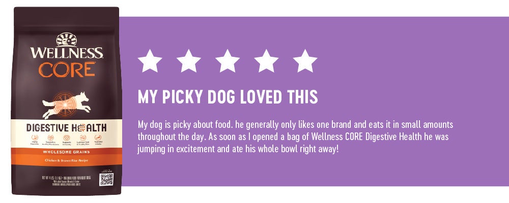 5 Stars : My Picky Dog Loved this