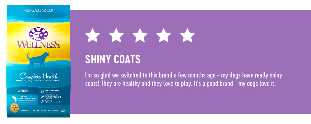 5 Stars : Shiny Coats