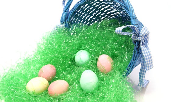 Easter basket. Top 5 Easter Hazards for Pets. Wellness Pet Food, dry dog food, wet dog food, healthy dog food.