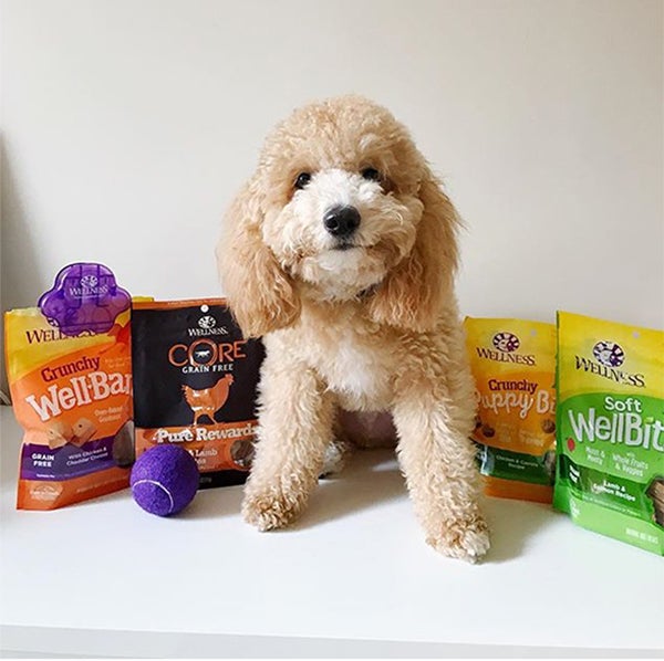 WellBites, dogust, wellness pet food, healthy dog treats, treats for dog, best treats for dog
