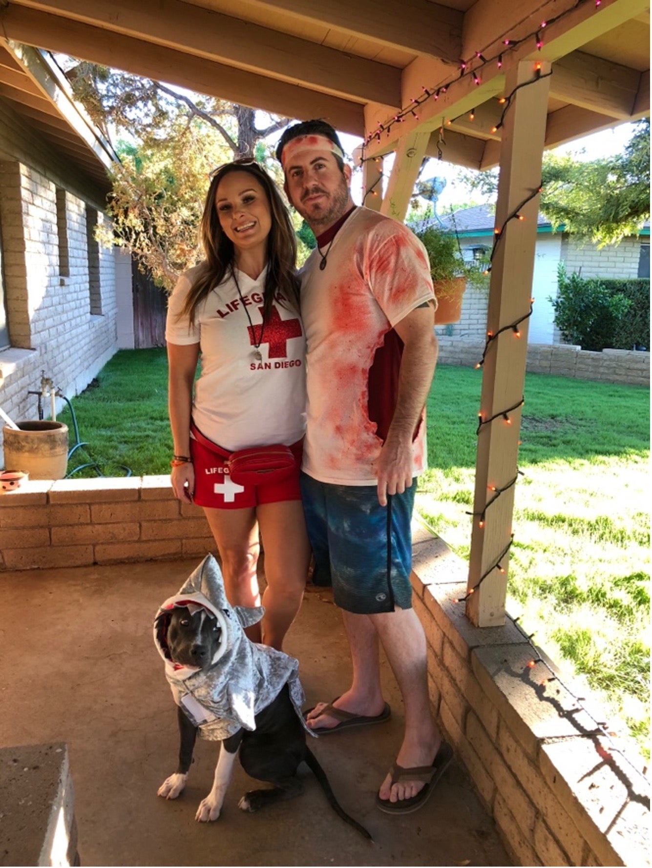 dog and owners wearing costumes