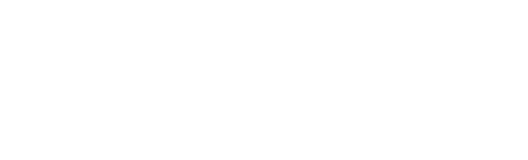 Wellness logo