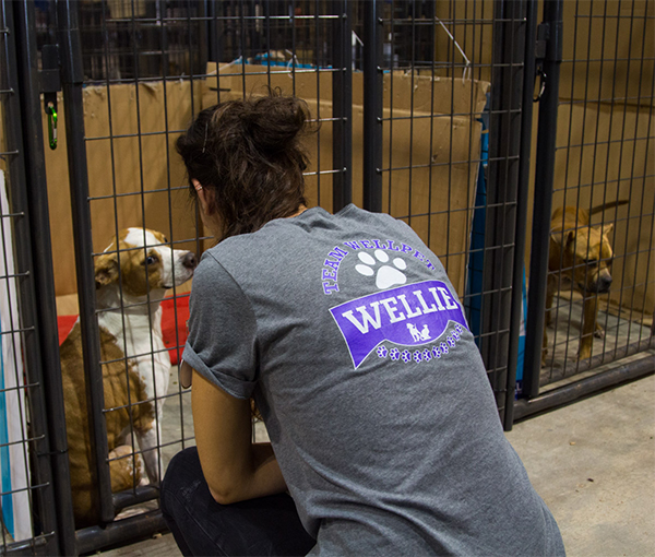 Houston volunteer petting dog