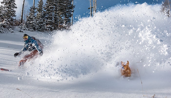 andrew * kicker, How to Ski and Snowboard With Your Adventure Dog