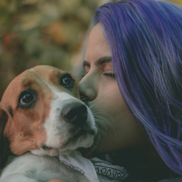beagle with woman, Dog Breed Personalities That Match Our Own