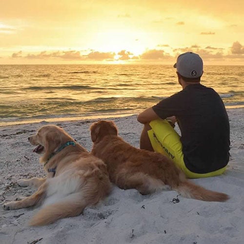 sunset, Tips for Taking Your Dog To The Beach