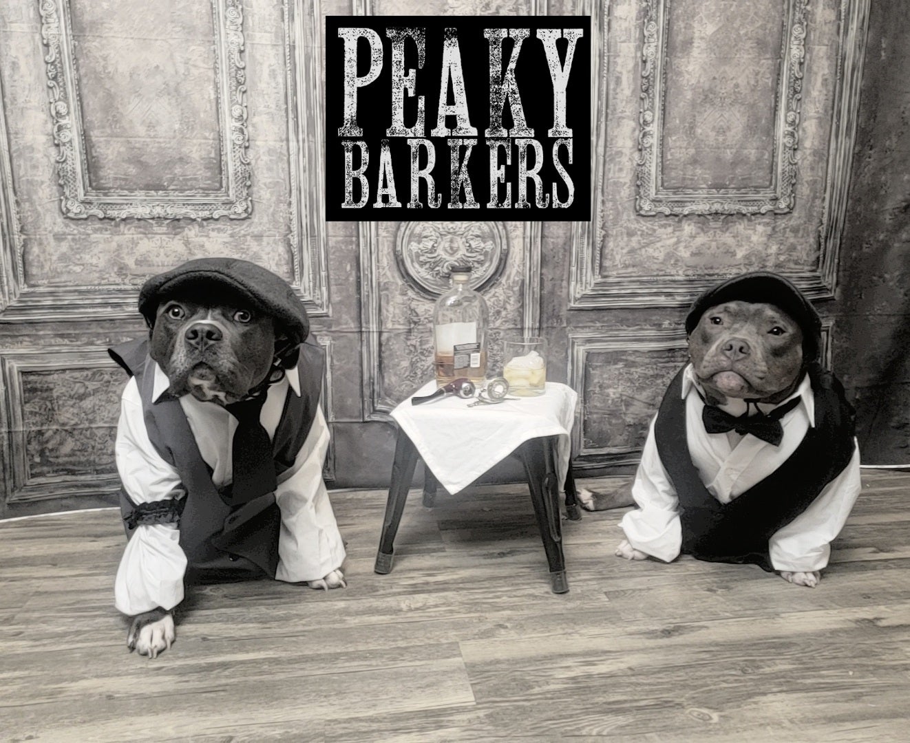 peaky barkers, dogs dressed up for halloween, dog halloween costumes, costumes for dogs, wellness pet food, wet dog food, dry dog food