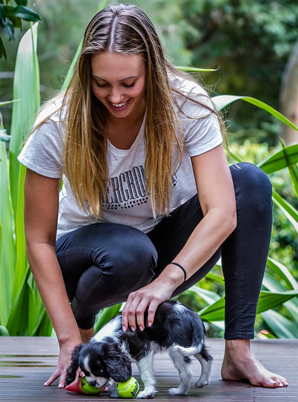 puppy playing with woman and toy