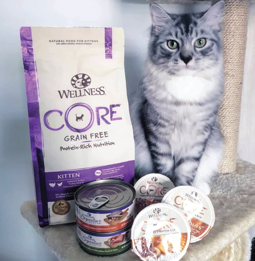 COre Cat, Wellness Complete Health Grain-Free Recipes Replacing Grained Diets