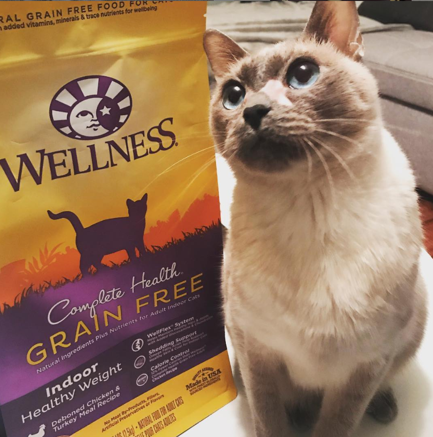 Complete Health Dry Cat, Wellness Complete Health Grain-Free Recipes Replacing Grained Diets