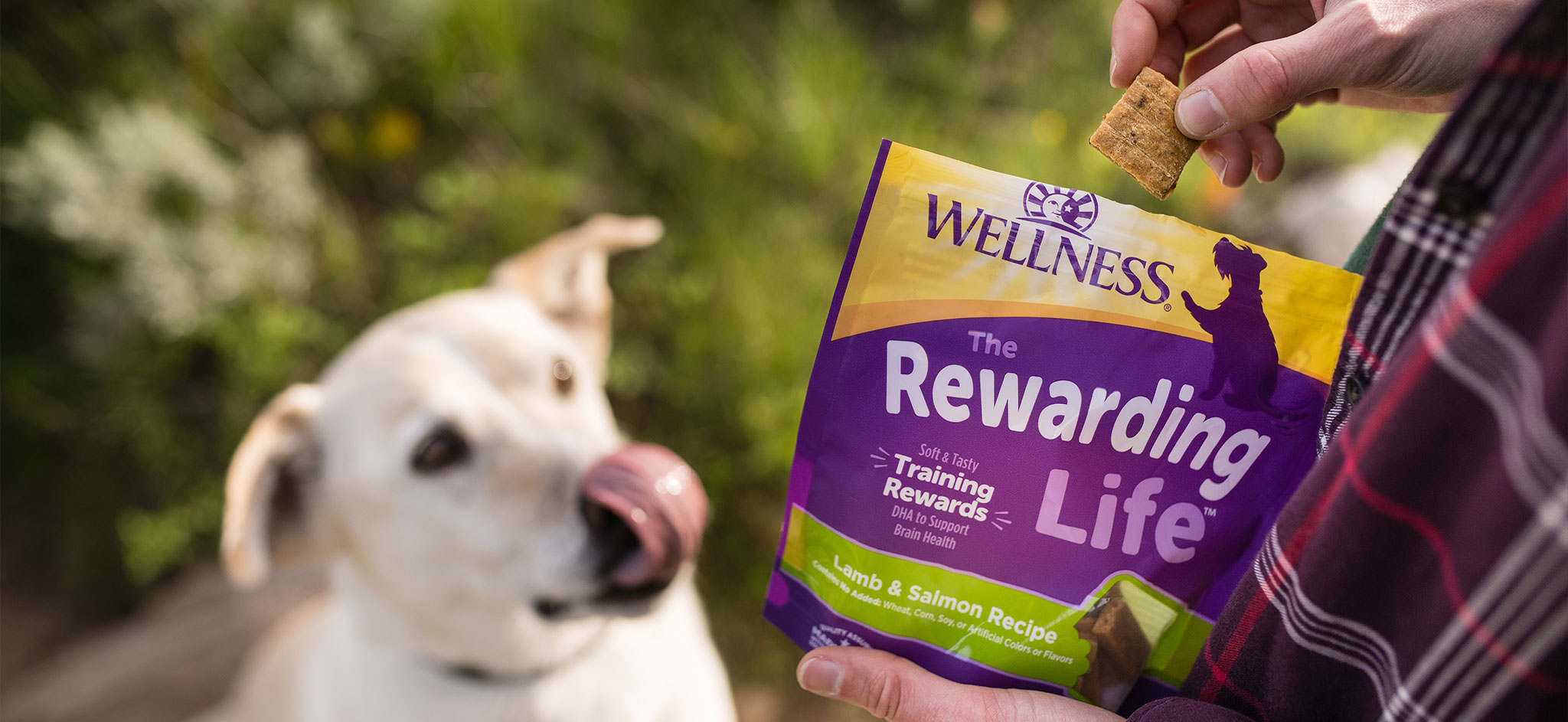 Our healthy dog treats come in a variety of flavors, textures, and sizes that your dog will love. Choose from soft or crunchy bites that are perfect for dog training treats and high-value rewards.