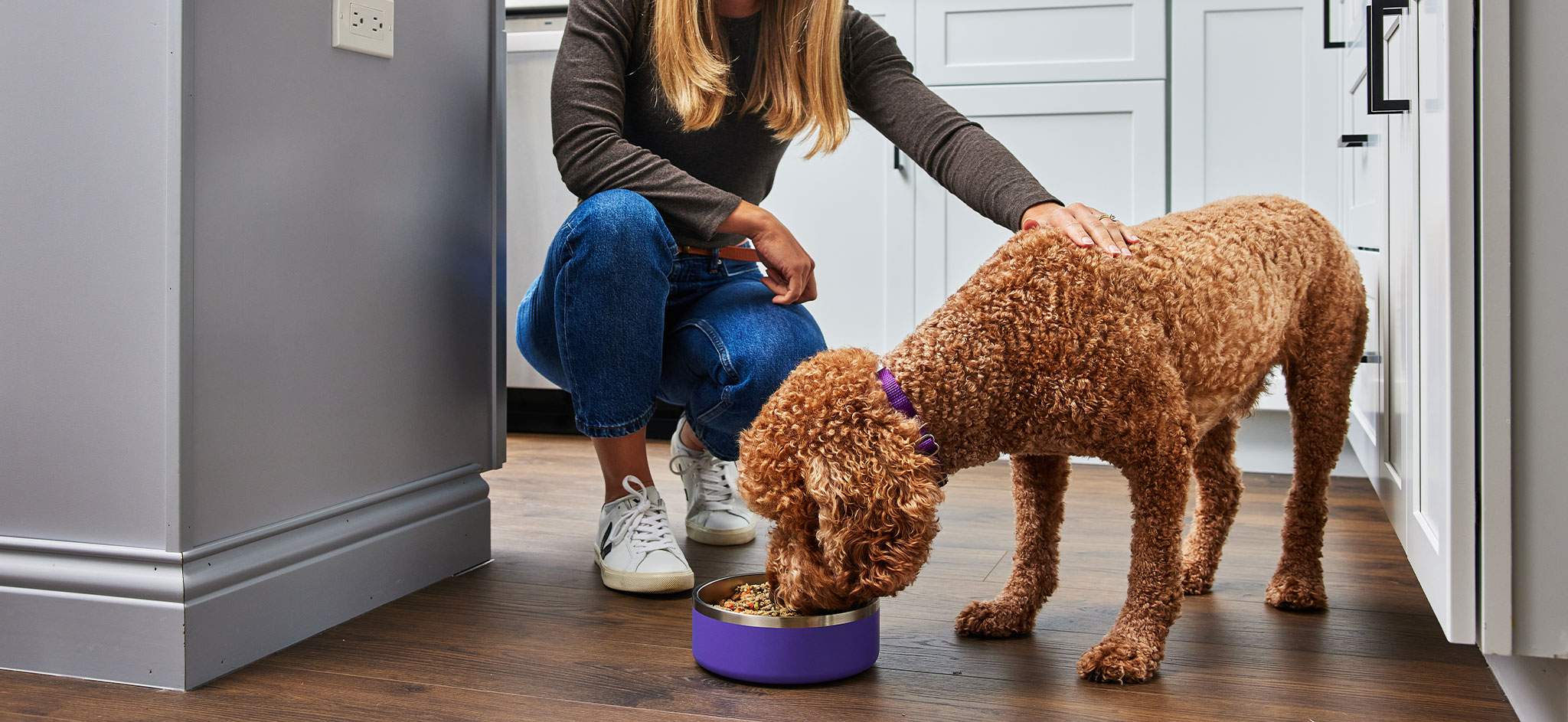 Wellness dry dog food recipes are thoughtfully crafted and scientifically proven to support the 5 Signs of WellbeingTM. Every recipe is made with high-quality ingredients to support whole-body health so that you and your dog can share a life of wellbeing together.