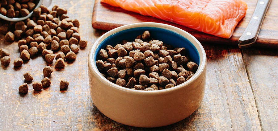Wellness dog online food coupons 2019