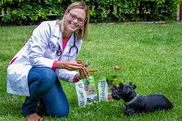 WHIMZEES natural daily dental dog chews, How Do I Know if my Dog Has Dental Disease?