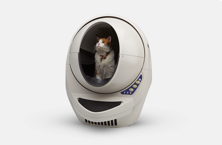 Cat in Litter-Robot-3