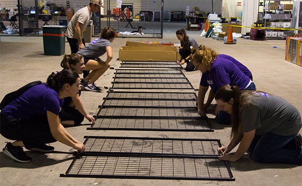 WellPet volunteers building dog runs