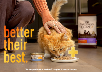Wellness Core Plus for cats. Core+ for cats.