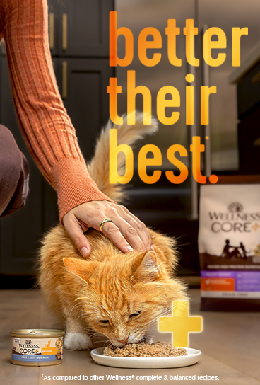 Wellness Core Plus for cats. Core+ for cats.