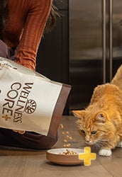 Wellness Core Plus for cats. Core+ for cats.