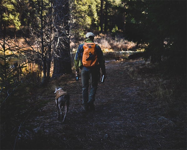 Fishing Josh and Koda dog walking