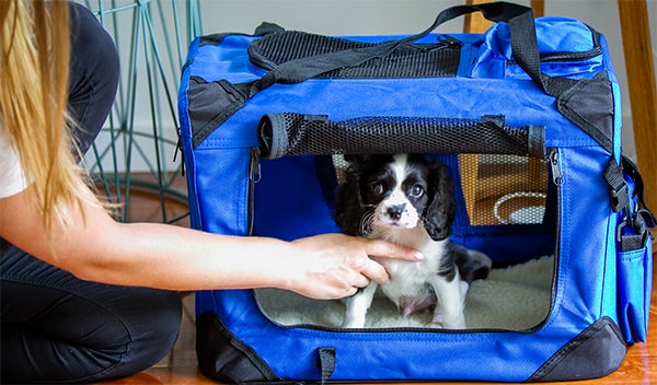 puppy crate training