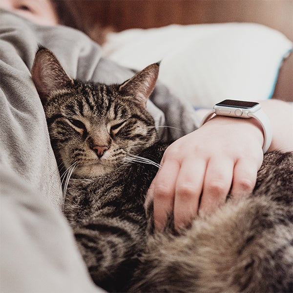 person snuggling with cat, healthy cat food