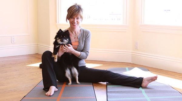 doga, dog food, cat food, wellness pet food, healthy pet food